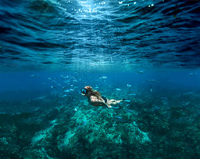 Dominican Republic
