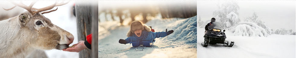 Feeding Reindeer, tobogganing and riding a snowmobile
