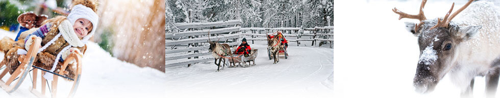 Sleding, sleigh ride and a Reindeer
